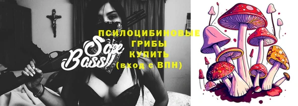 крисы Кодинск