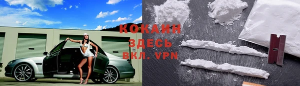 крисы Кодинск