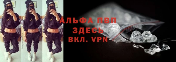 сатива Козловка