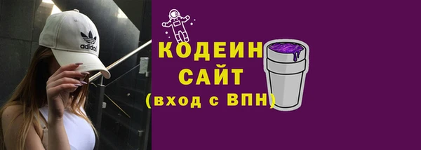 крисы Кодинск