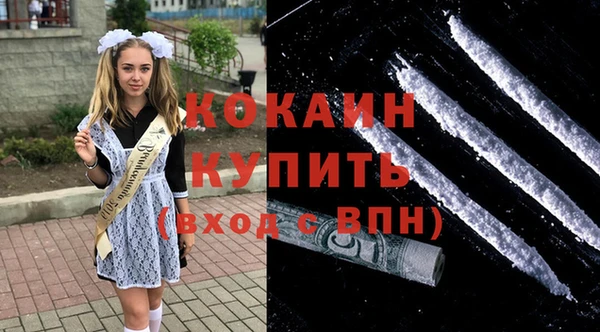 крисы Кодинск