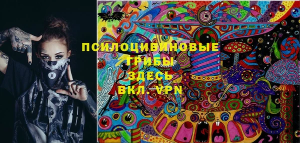 сатива Козловка