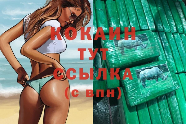 сатива Козловка