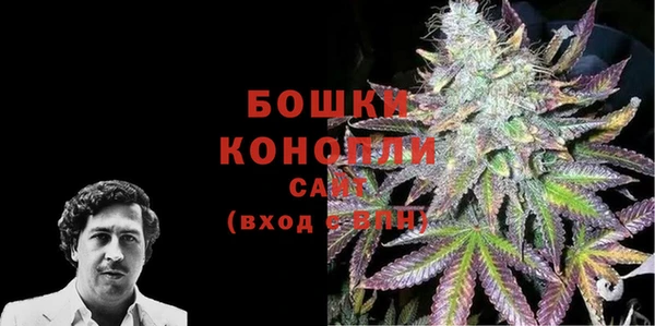крисы Кодинск