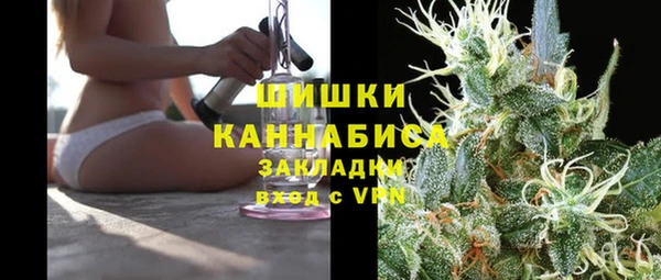 сатива Козловка