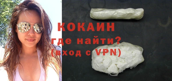 сатива Козловка