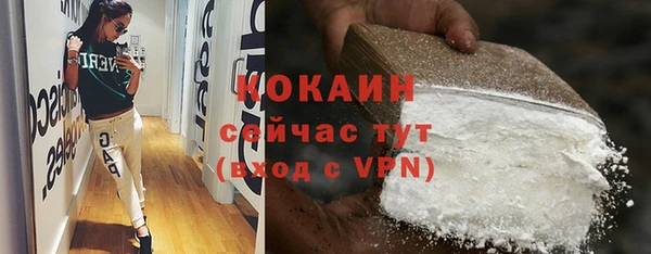 прущие крисы Корсаков