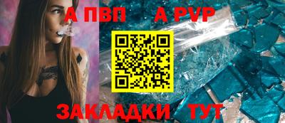 стаф Кингисепп