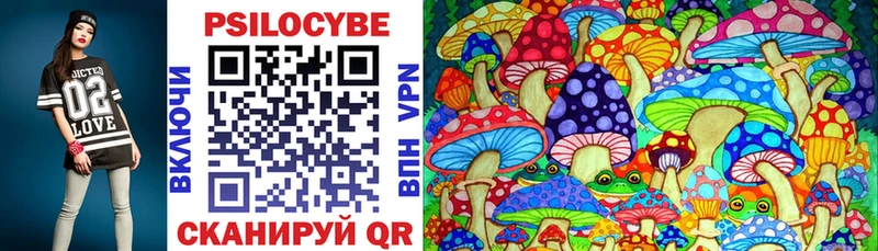 Псилоцибиновые грибы Psilocybine cubensis Курчатов