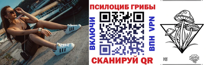 продажа наркотиков  Курчатов  Галлюциногенные грибы Psilocybe 